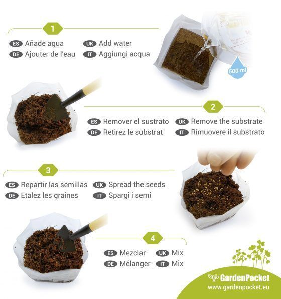 MICROVEGETALES POP ECO - Imagen 11