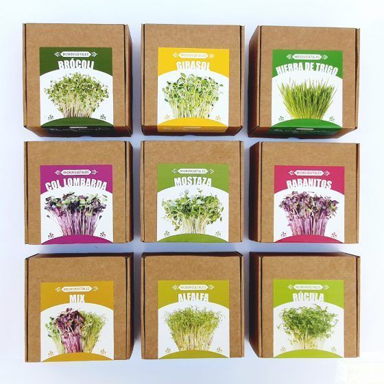 MICROVEGETALES POP ECO - Imagen 9