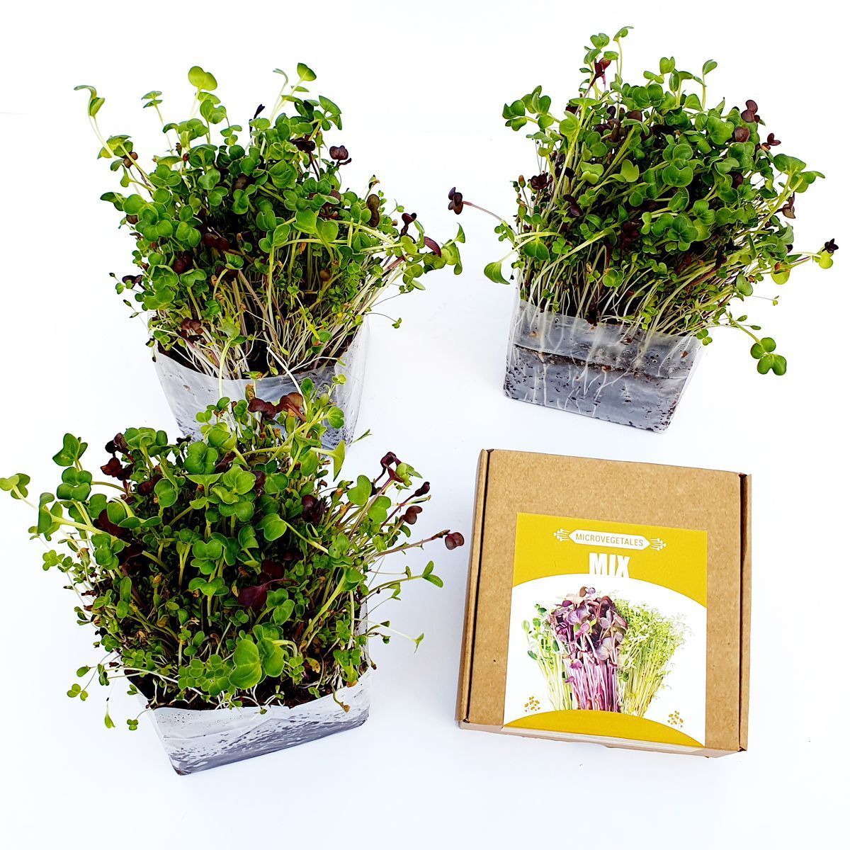 MICROVEGETALES POP