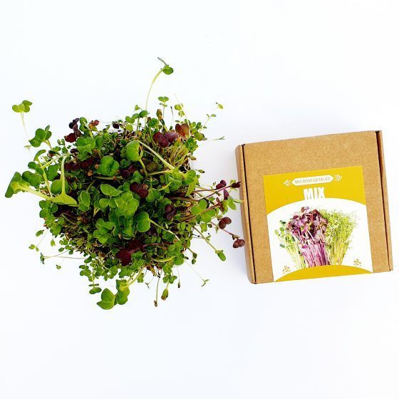 MICROVEGETALES POP ECO - Imagen 5