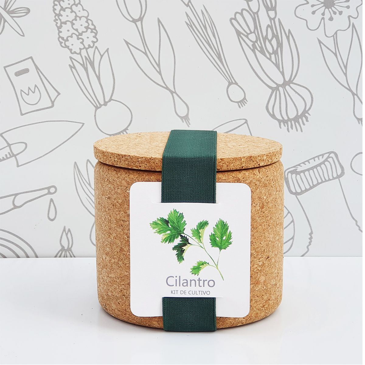 CILANTRO CORK -Kit semillas de cilantro en maceta de c