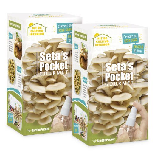 x2 SETAS POCKET GOURMET