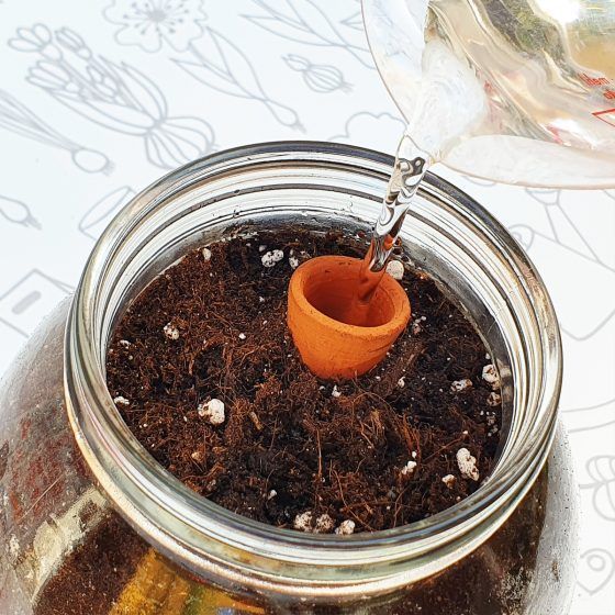 KIT INTERIOR TOMATE CHERRY - Imagen 6
