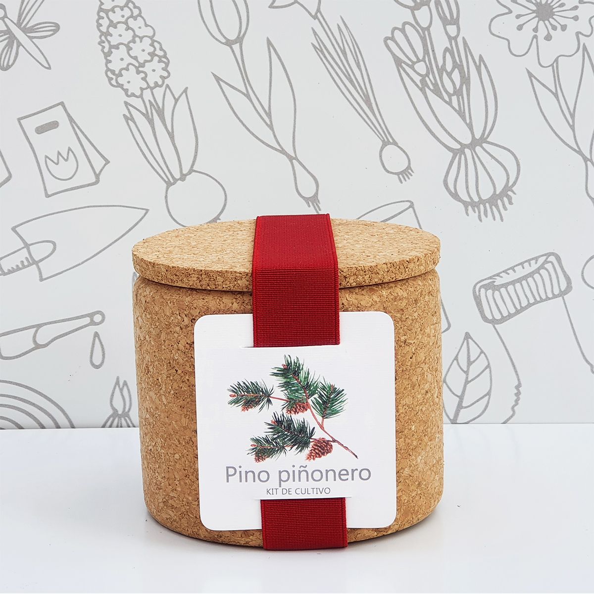 PINO PIÑONERO CORK -Kit semillas de pino piñonero en maceta de c