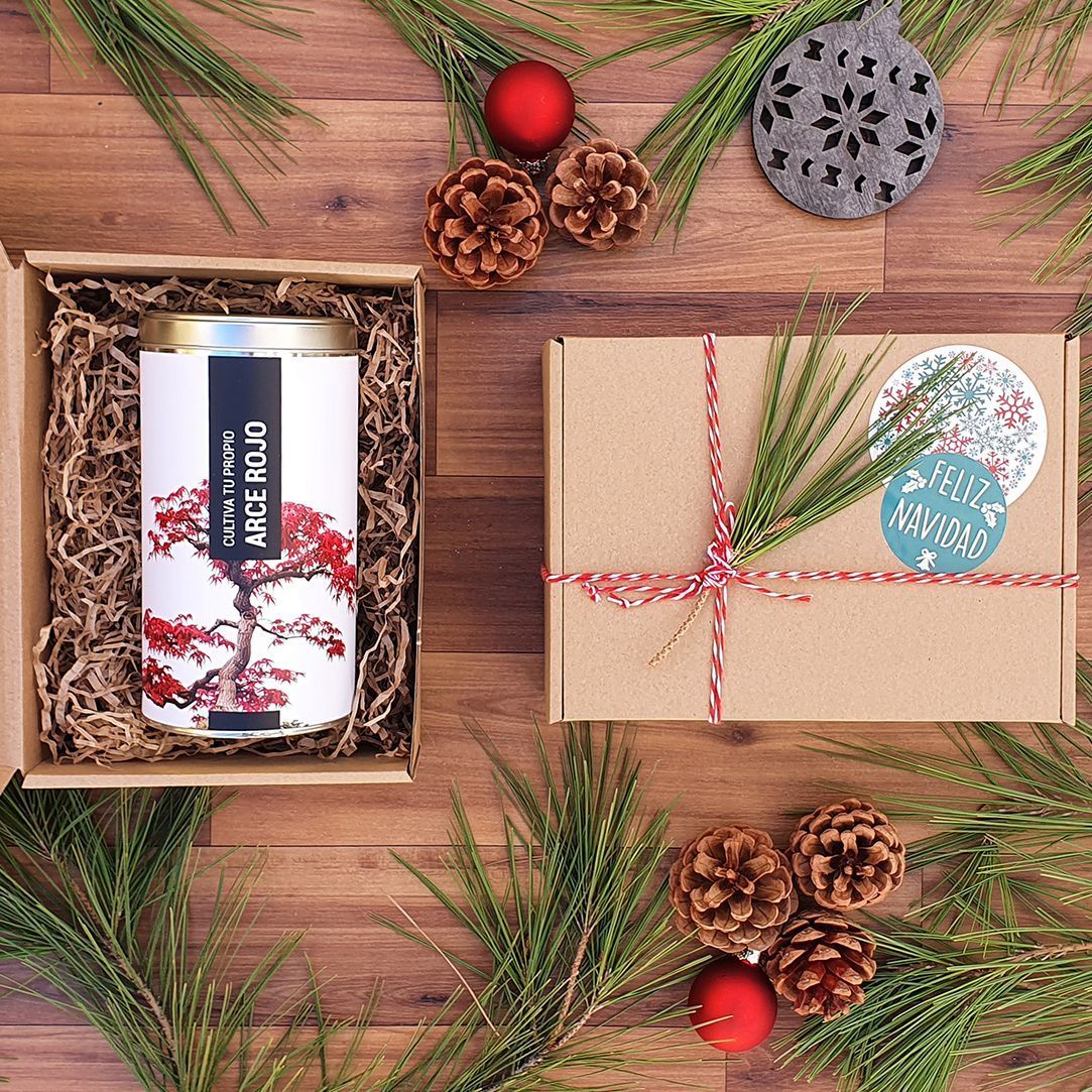 Fotos Navidad Productos Trama B3A