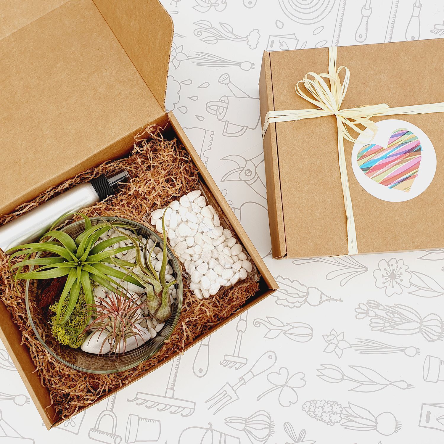 Garden Pocket --Tillandsias 4