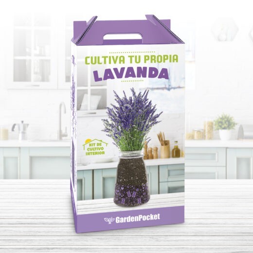 KIT DE CULTIVO LAVANDA