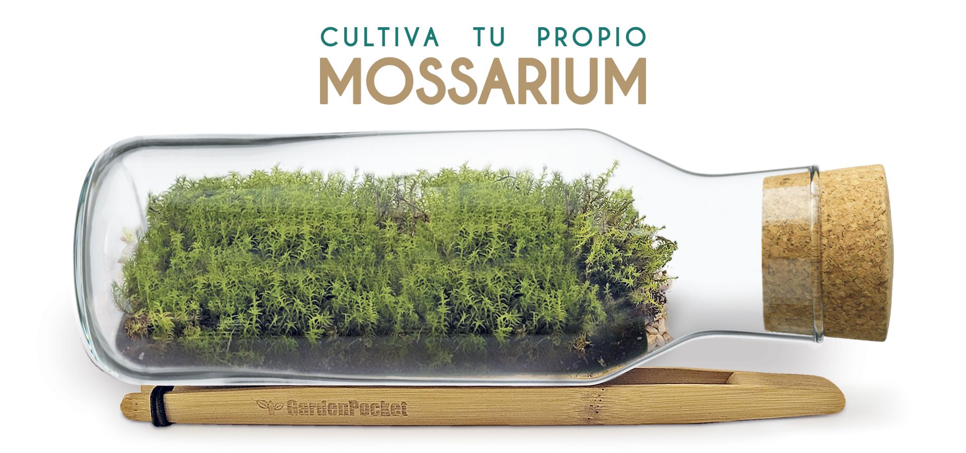 KIT MOSSARIUM