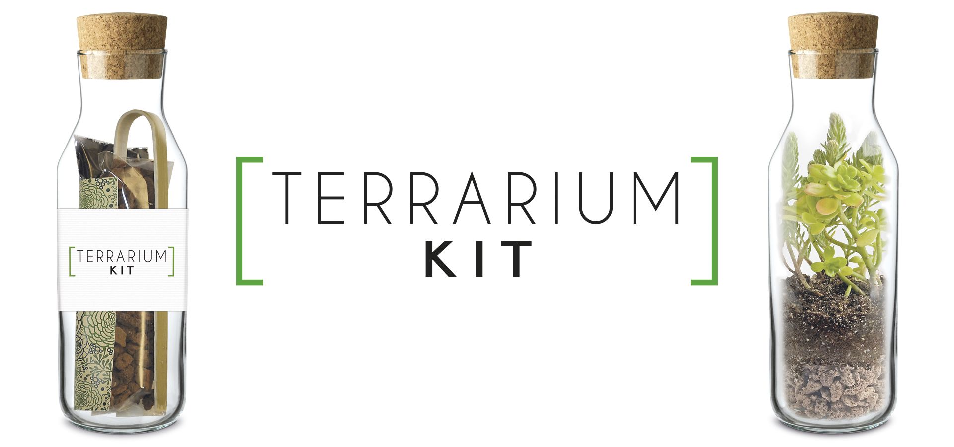 KIT TERRARIUM VERTICAL