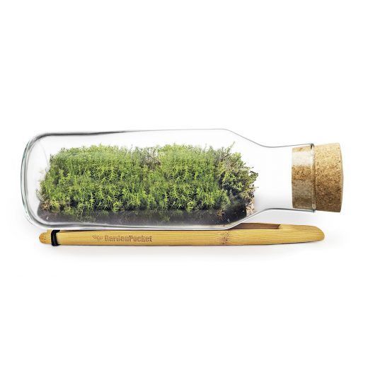 MOSSARIUM