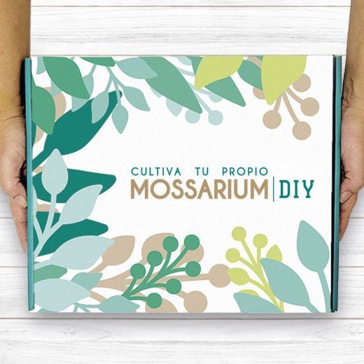 MOSSARIUM - Imagen 2