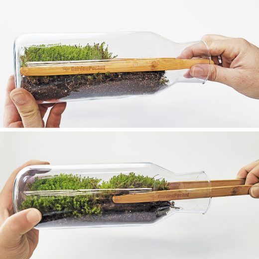 MOSSARIUM - Imagen 8