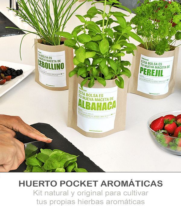 Kit-cultivo-hierbas-aromáticas PRODUCTOS