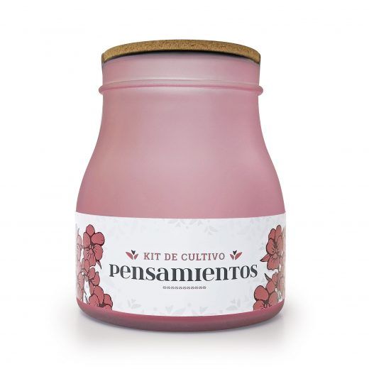PENSAMIENTOS EMOTION