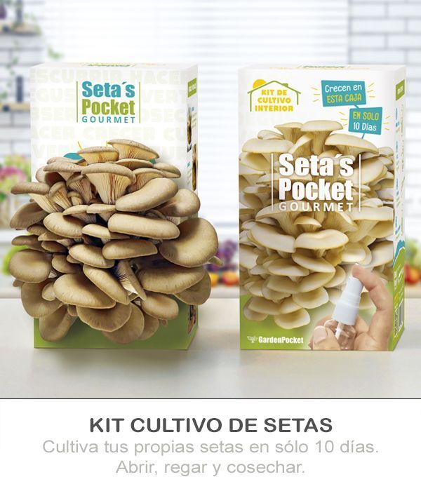 SETAS POCKET GOURMET