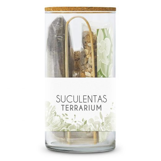 Kit TERRARIUM SUCULENTAS - Imagen 2