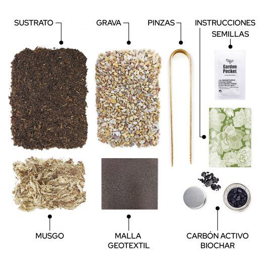 Kit TERRARIUM SUCULENTAS - Imagen 3