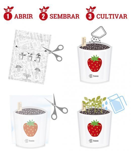 Lote REGALO HUERTO POCKET - Imagen 6