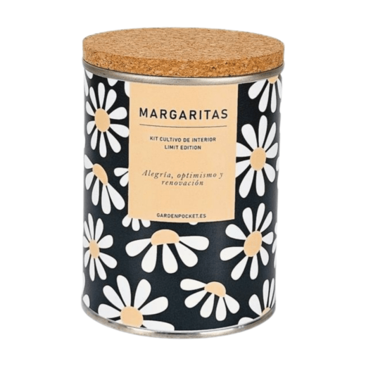MACETA EN LATA - Margaritas