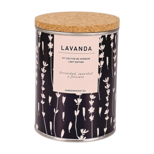 MACETA EN LATA - Lavanda