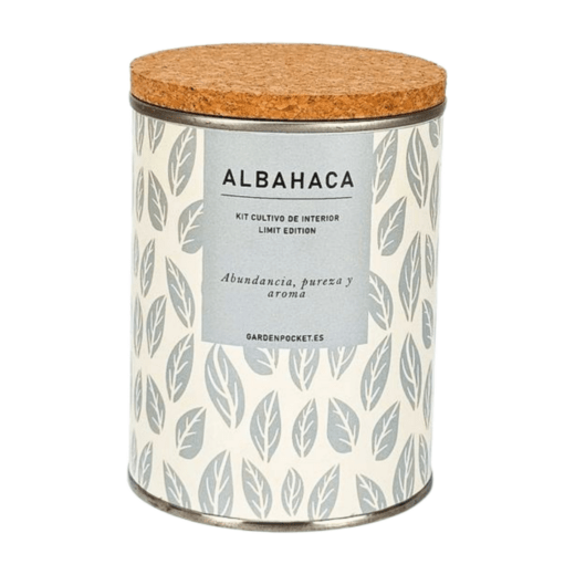 MACETA EN LATA - Albahaca