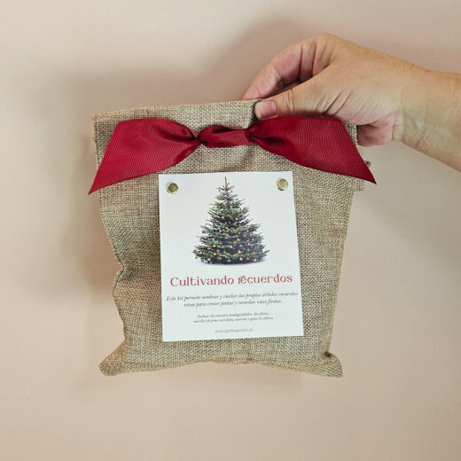 CULTIVANDO RECUERDOS- Kit cultivo pino navideño yute
