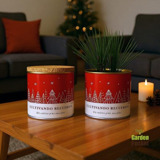 CULTIVANDO RECUERDOS- Kit cultivo pino navideño Paisaje Nevado