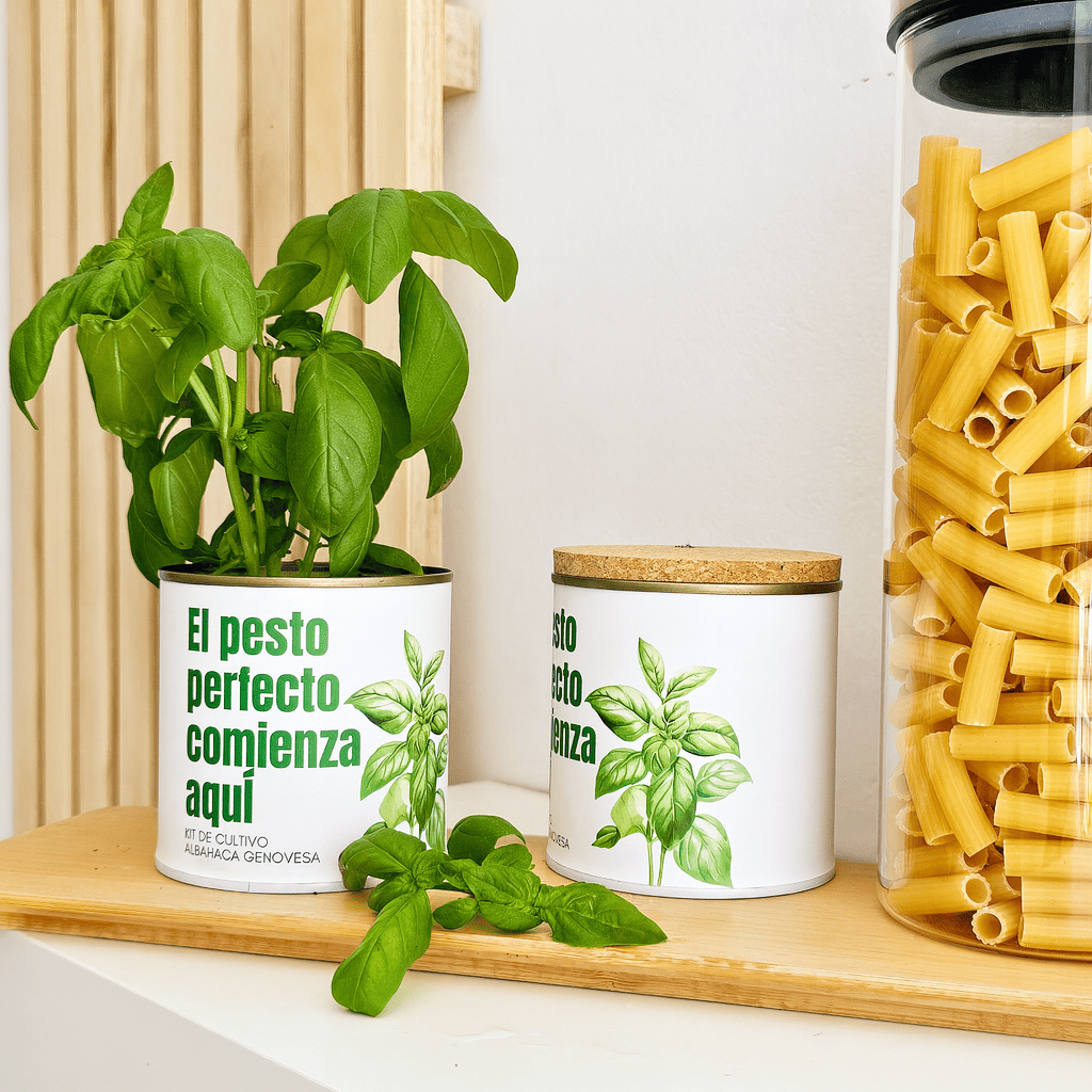 Lata semillas cultivo trebolGarden Pocket 2