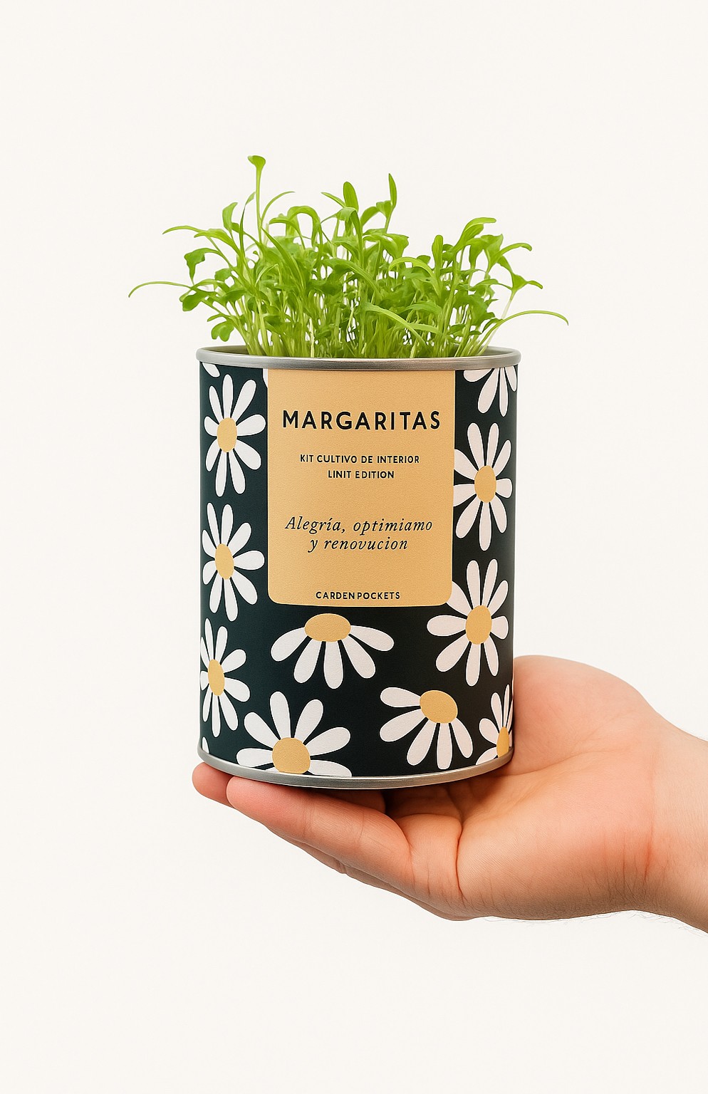 Maceta en lata Garden Pocket margarita_2