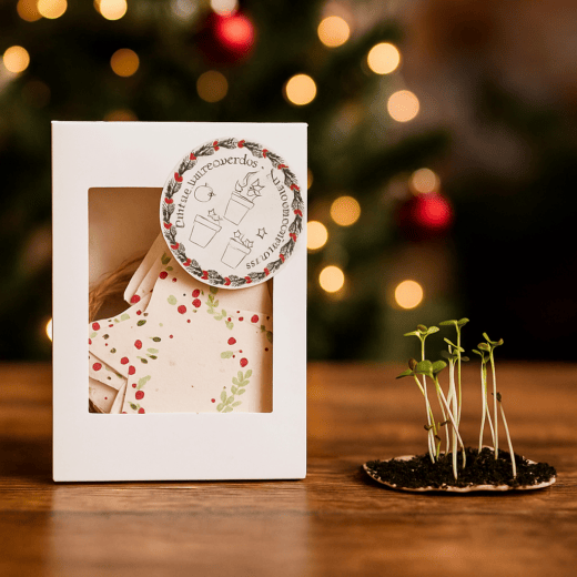 ADORNOS NAVIDAD PAPEL DE SEMILLAS