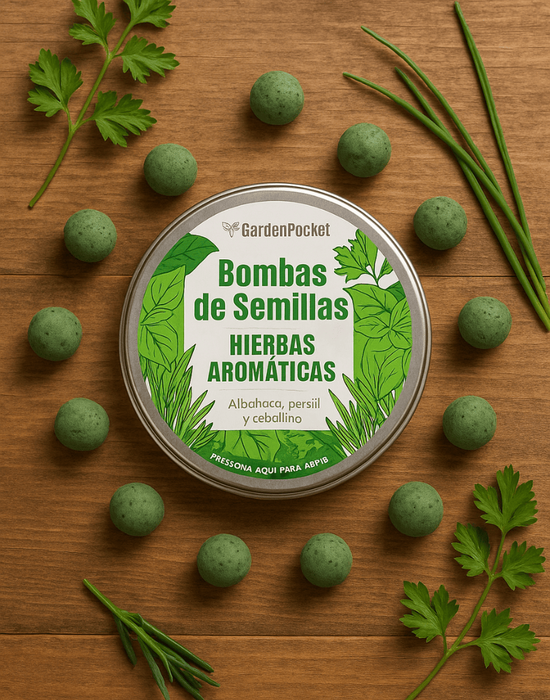 Garden POcket Bombas de semillas regalos hierbas aromáticas