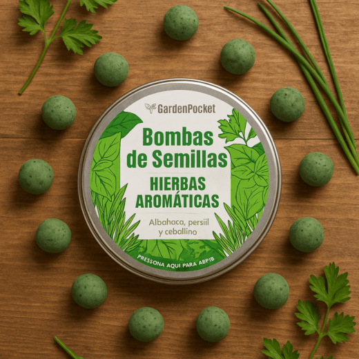 BOMBAS DE SEMILLAS - Aromáticas