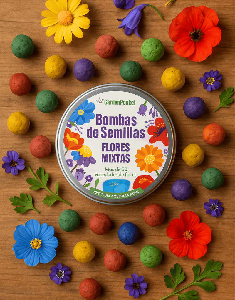 Garden Pocket Bombas de semillas regalos flores mixtas 1