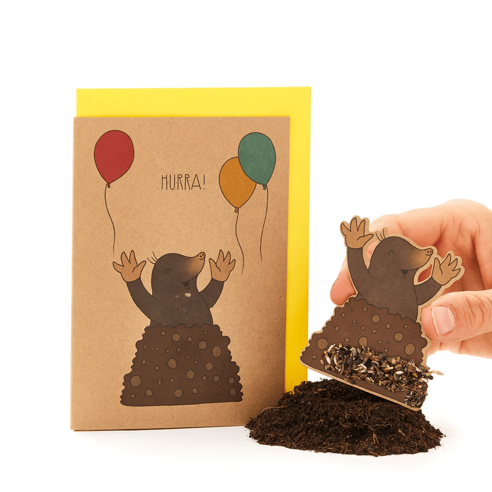 Garden Pocket Postal felicitacion papel de semillas 2