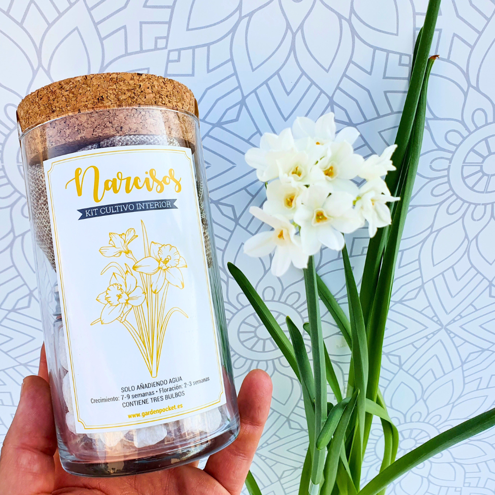 Garden Pocket_Semillas (1)