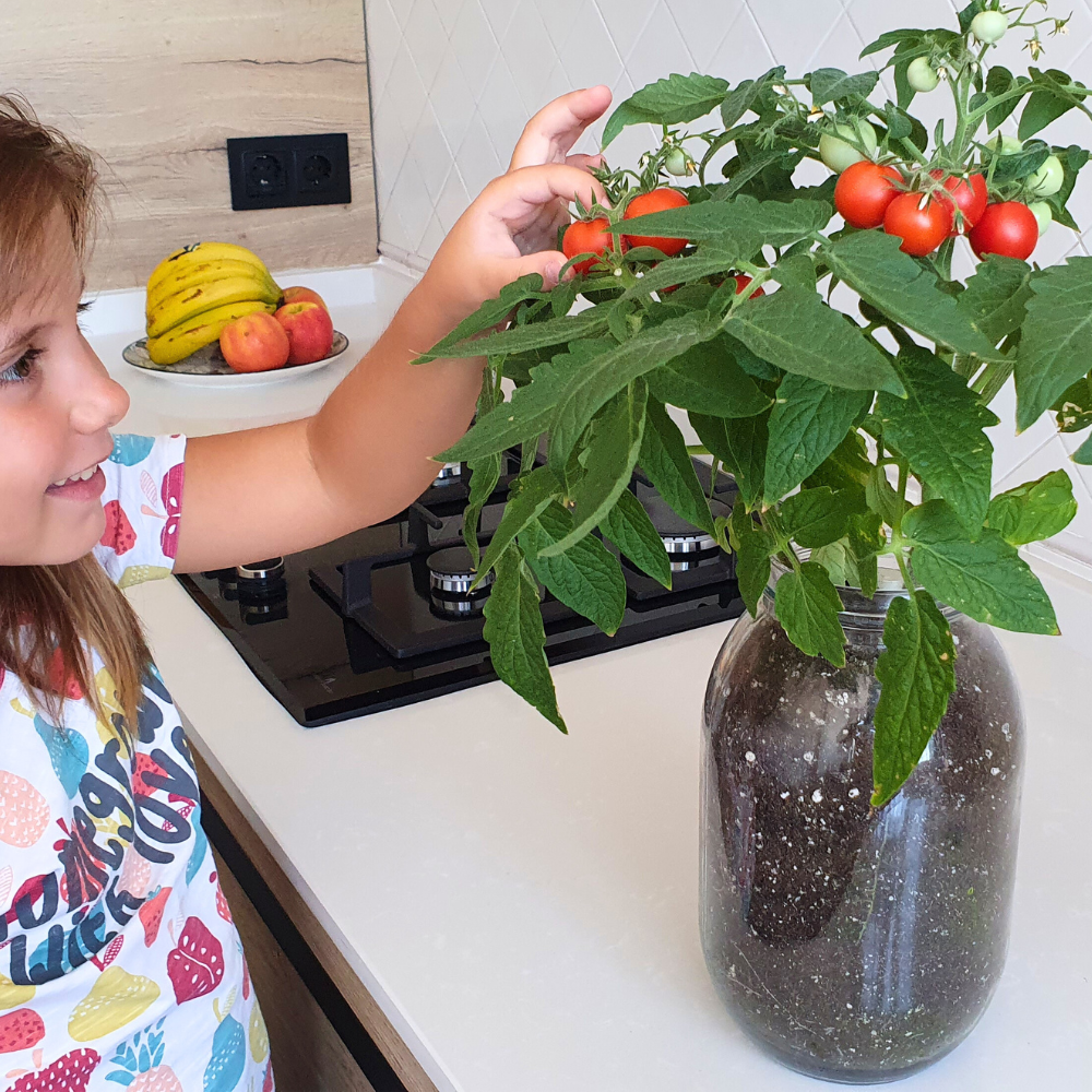 Garden Pocket_Semillas (2)