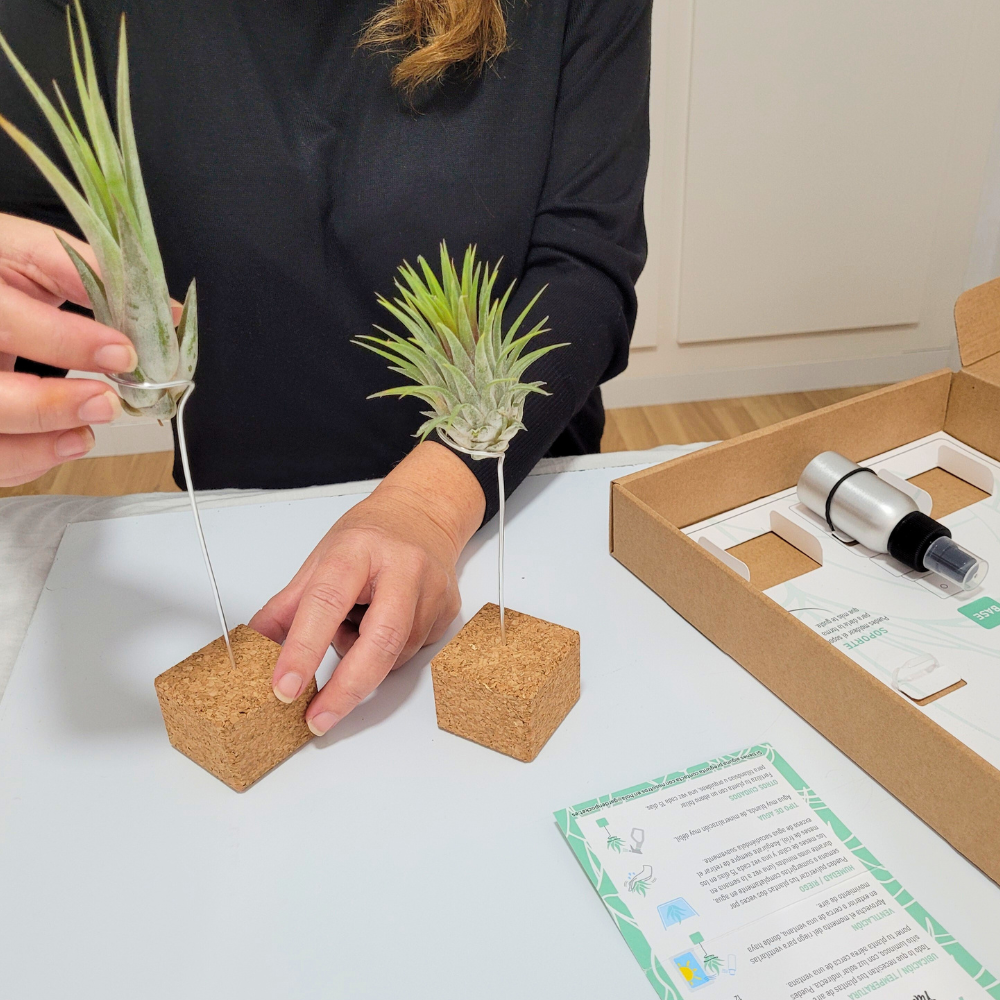 Garden Pocket_Semillas