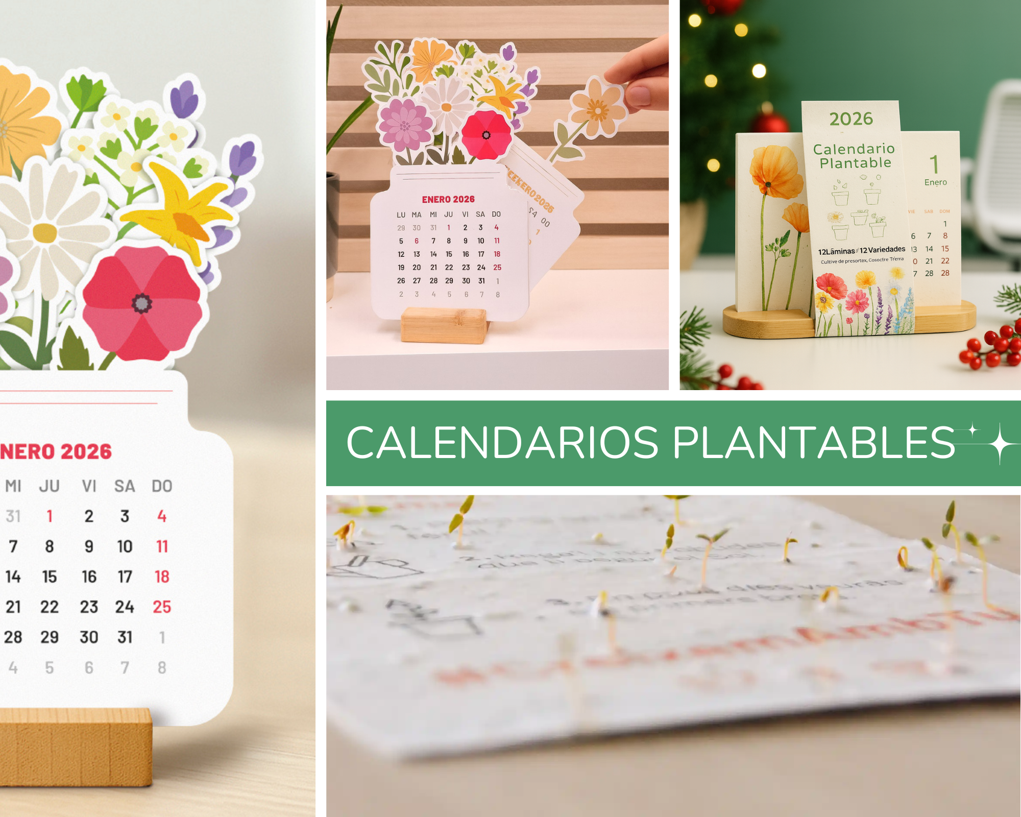 Collage Garden POcket Semilals regalo (2)