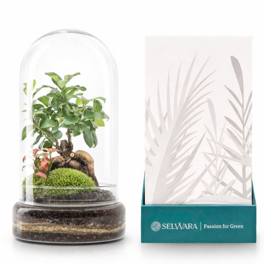 Terrario MADAGASCAR FOREST 19x36cm