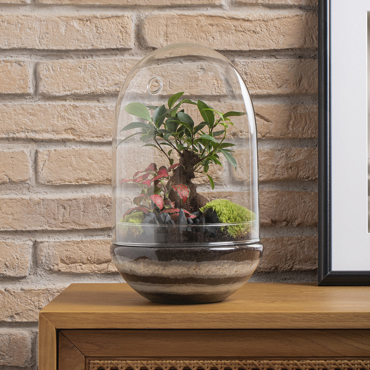 Madagascar Hole 1080x1080 CAT_3 Kit-cultivo-hierbas-aromáticas-3