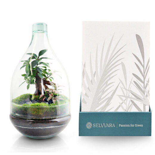 Terrario DARIÉN 19x30cm