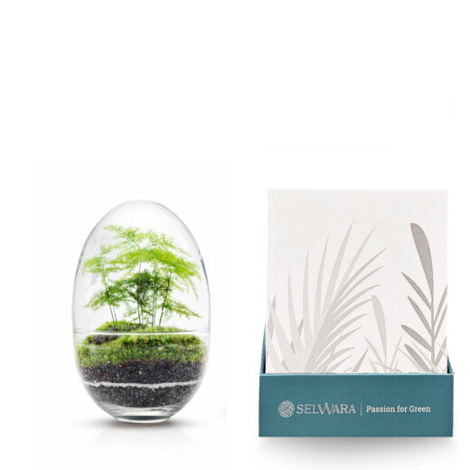 Terrario ERAWAN 10x14cm