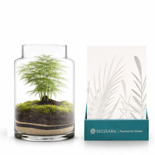 Terrario IRATI MOSS 16x22cm