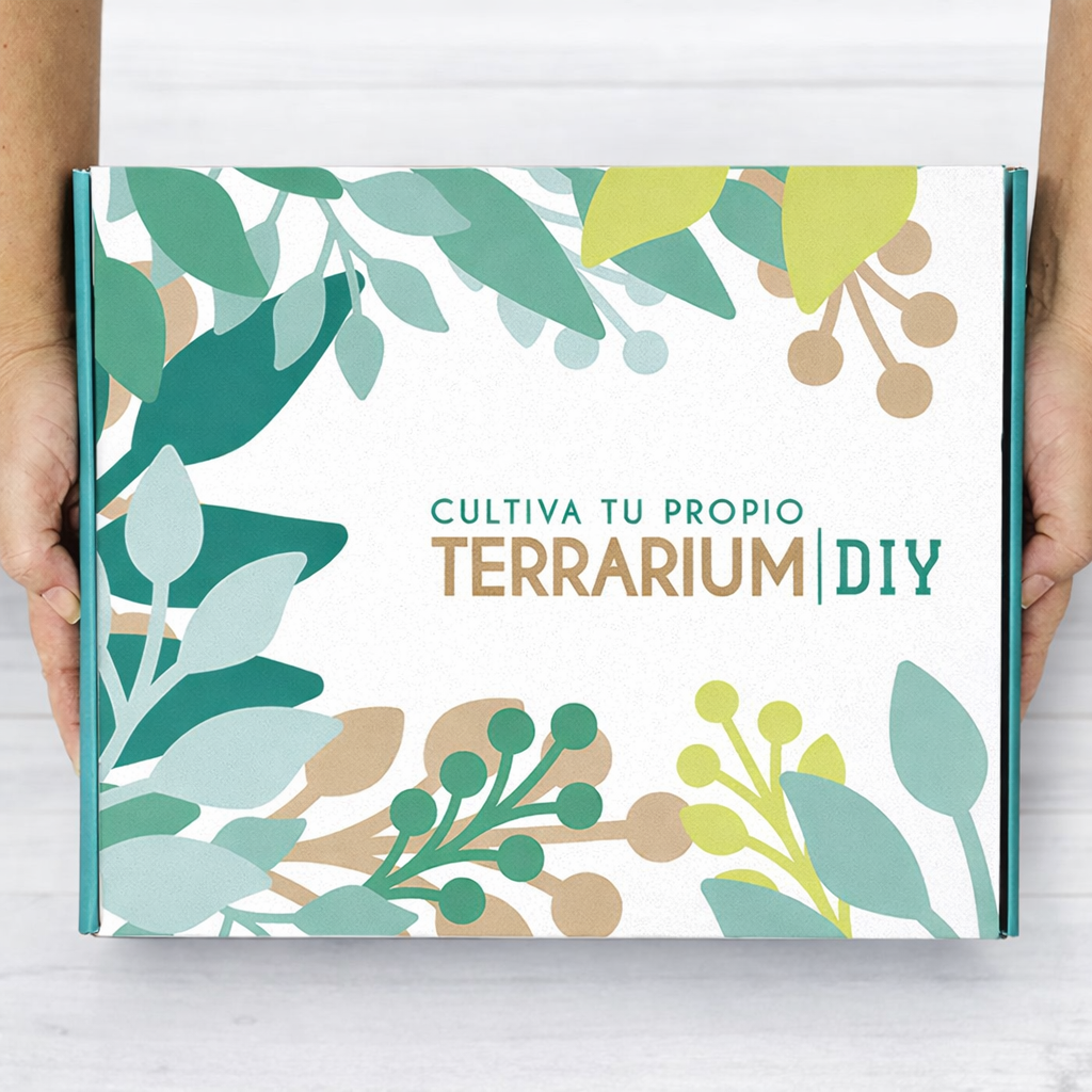 Terrarium Live Garden Pocket 2026_2 TERRARIUM LIVE KIT