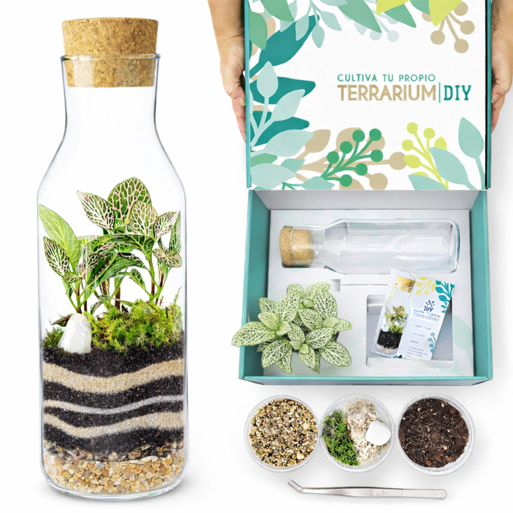 Terrarium Live Garden Pocket 2026_VVV11 Terrarium Garden Pocket 8