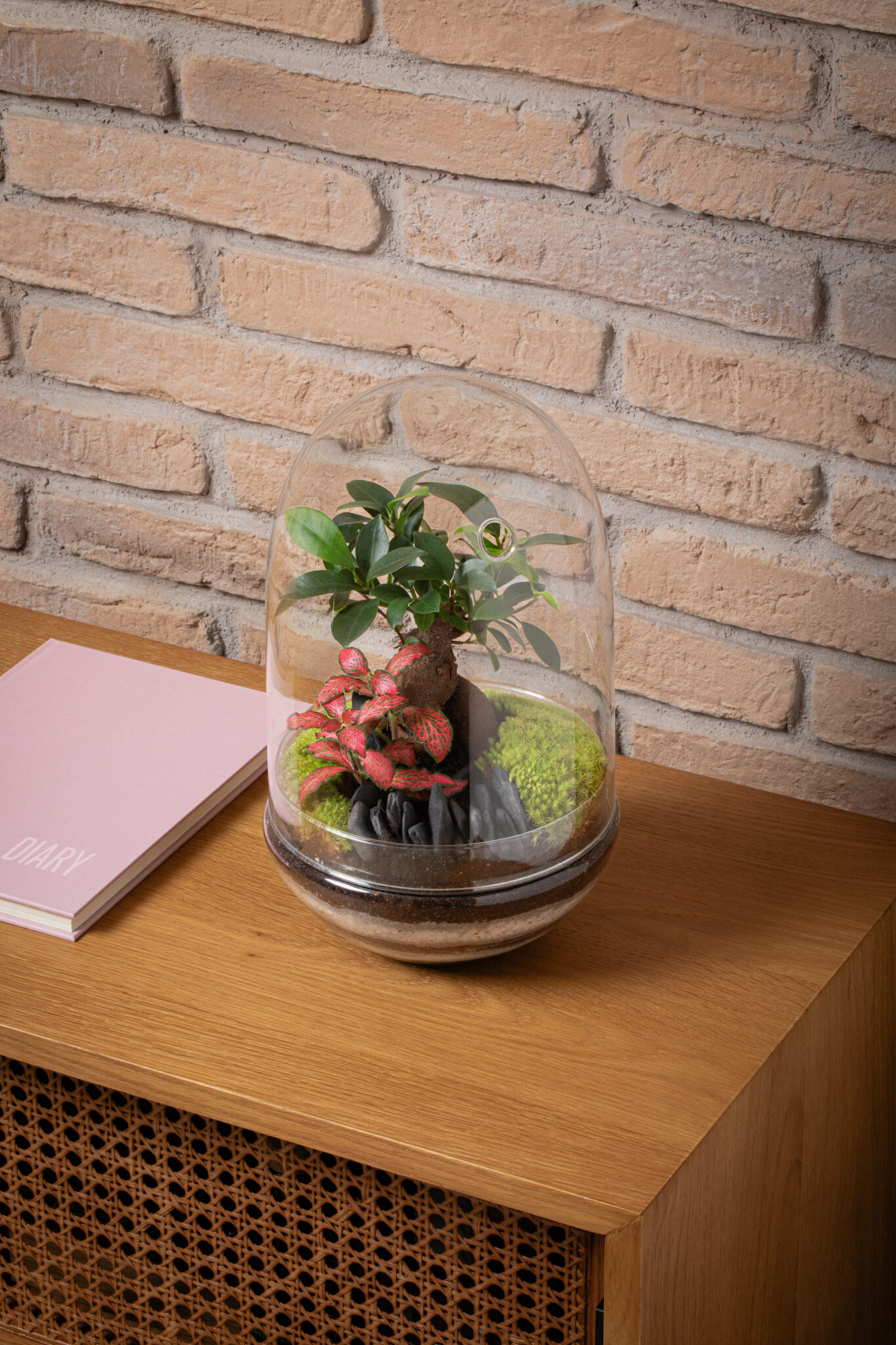 terrario-cupula-mediana-2