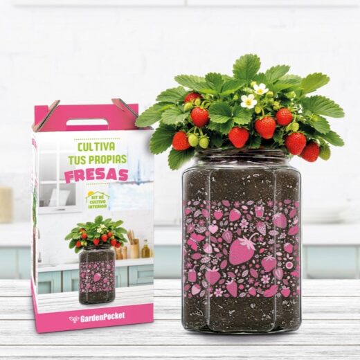 KIT DE CULTIVO INTERIOR FRESAS