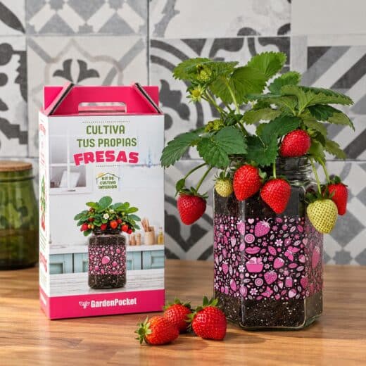 KIT DE CULTIVO INTERIOR FRESAS