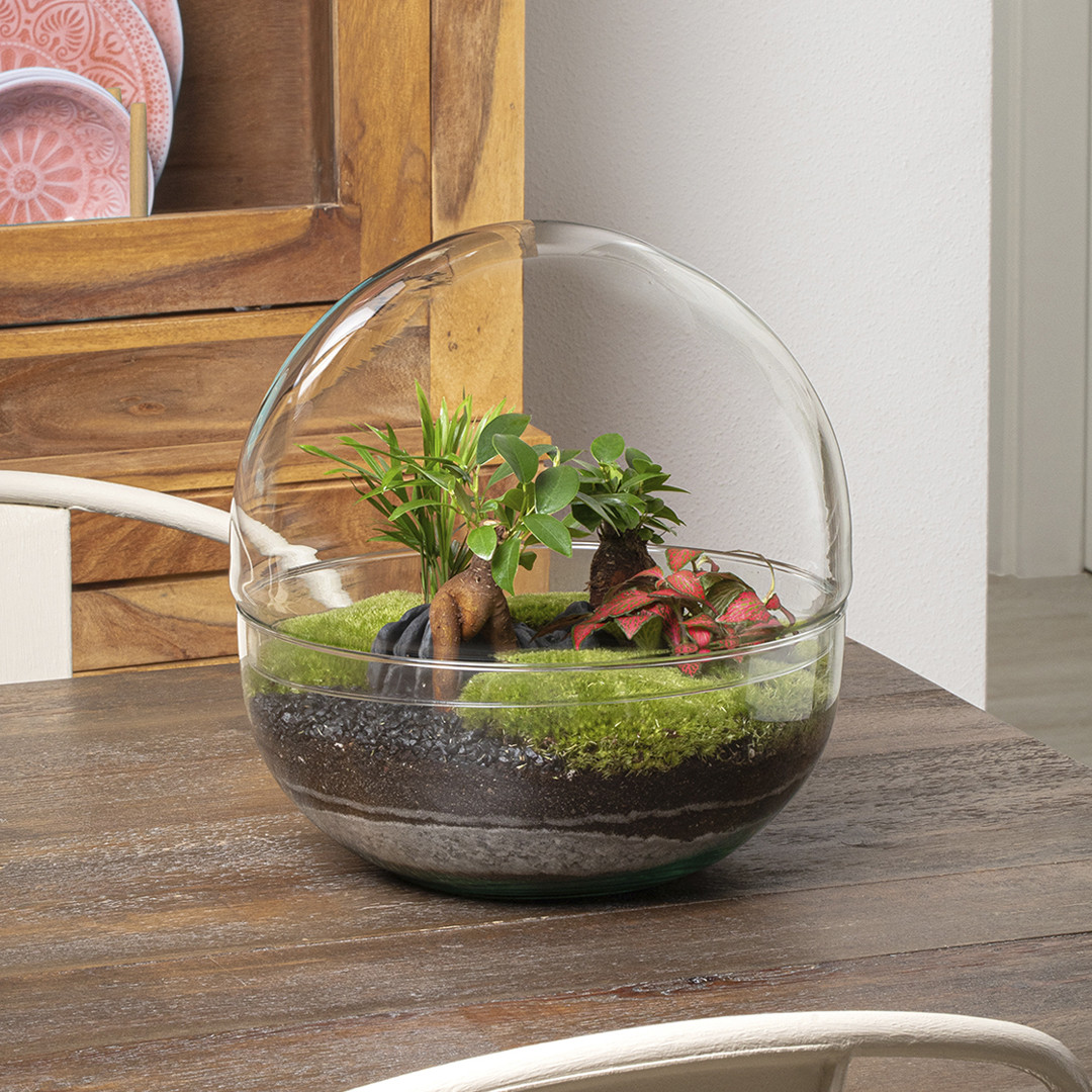 Borneo Terra 1080x1080 Kit-cultivo-hierbas-aromáticas-3