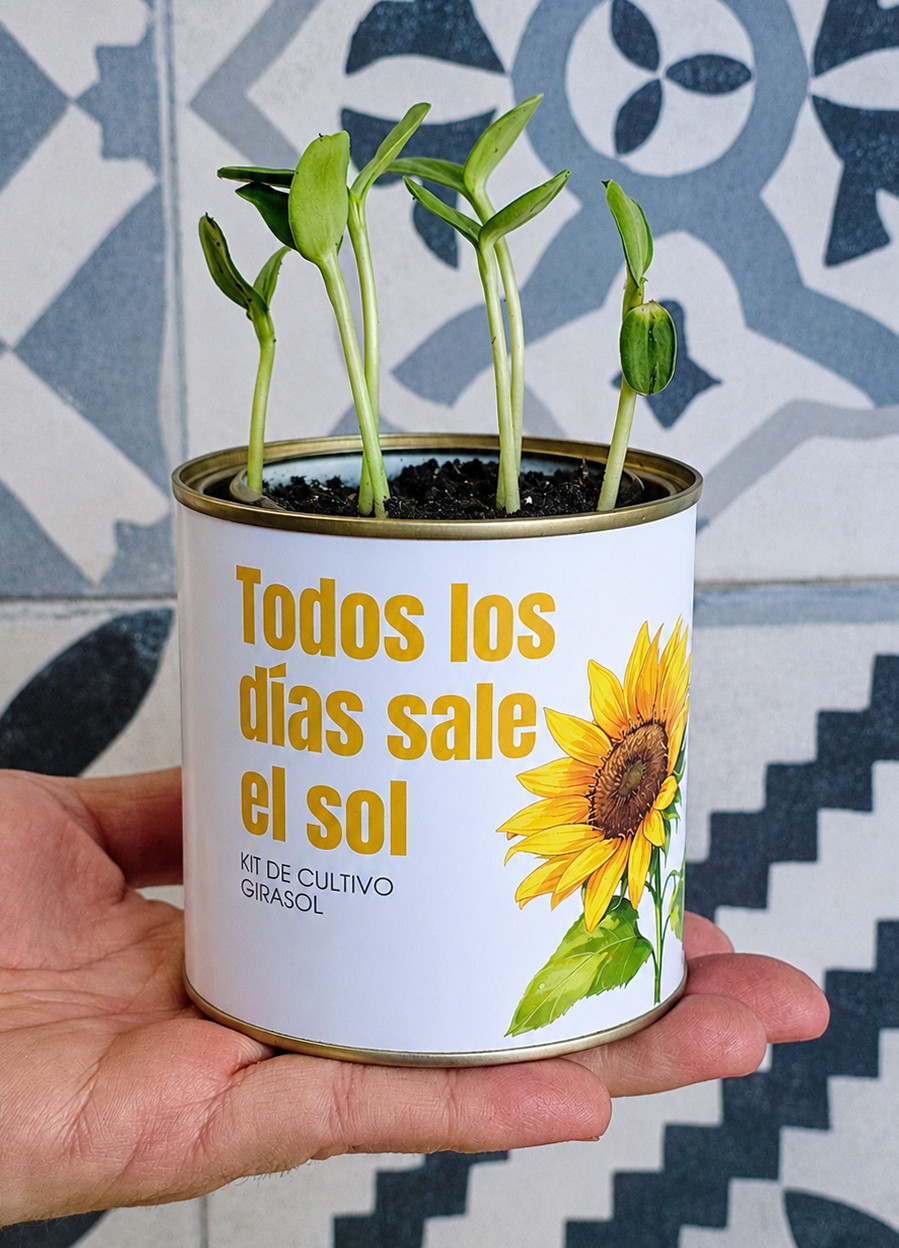 Kit de cultivo en lata_Semillas de girasol_Garden Pocket